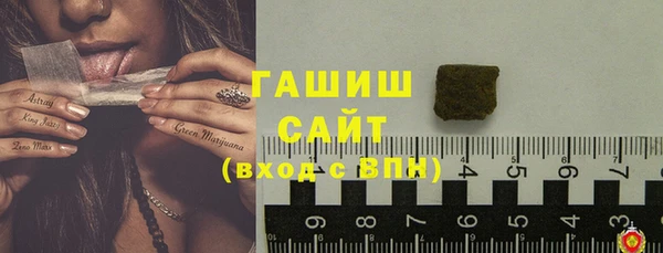 стаф Грязовец