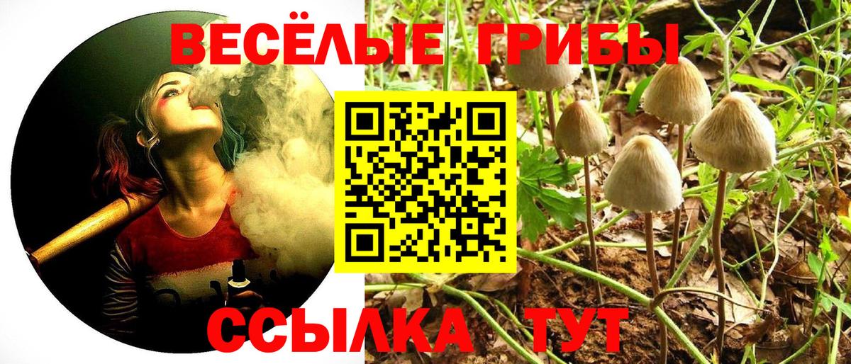 Псилоцибиновые грибы прущие грибы Гурьевск