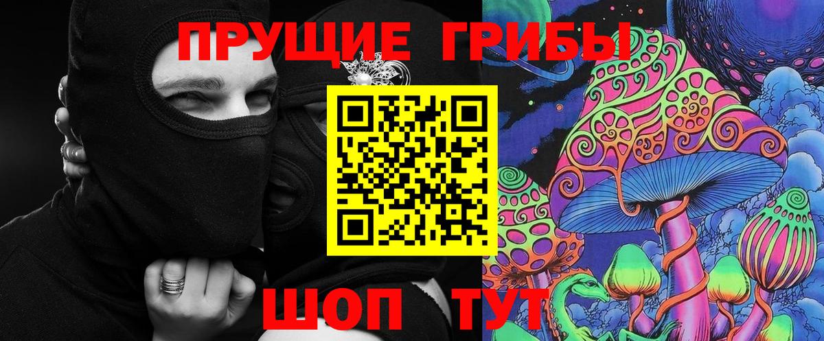 Псилоцибиновые грибы Psilocybe  наркошоп  Гурьевск  Вход с VPN  Псилоцибиновые грибы мухоморы 