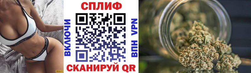 мега рабочий сайт  купить наркотики цена  Гурьевск  Каннабис сатива 