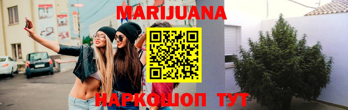 Бошки марихуана White Widow Гурьевск