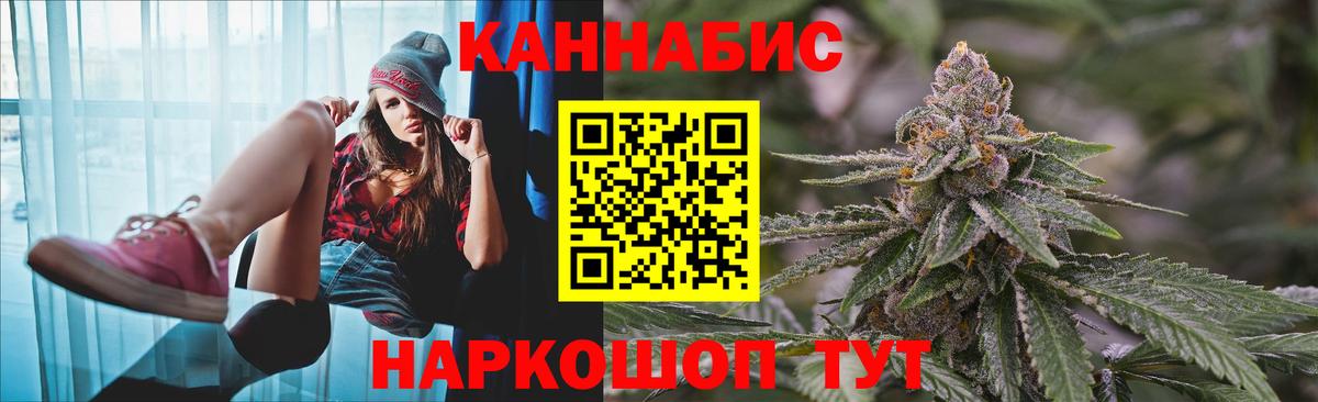 Конопля гибрид Гурьевск